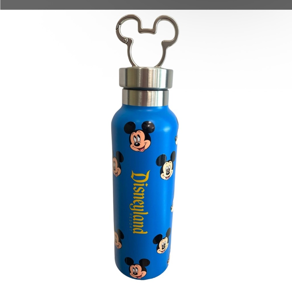 Disney Tumbler